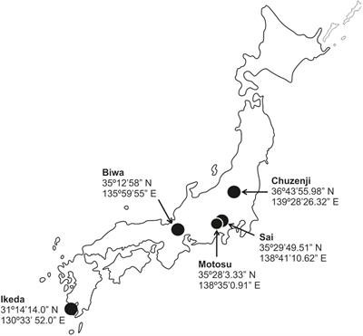 Widespread Dominance of Kinetoplastids and Unexpected Presence of Diplonemids in Deep Freshwater Lakes